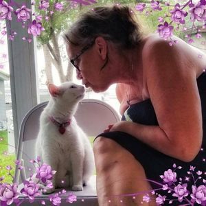 Meet your Posher, Alice